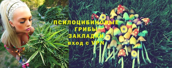 ALPHA PVP Алексин