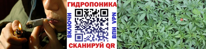 Бошки марихуана индика  дарнет шоп  Ивангород 
